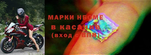 гашик Козловка