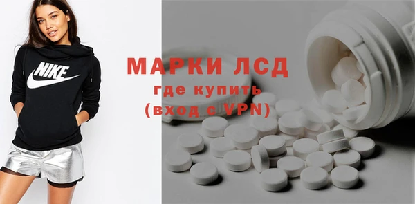 гашик Козловка