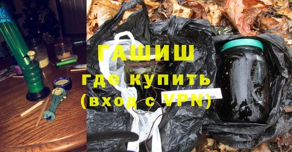 гашик Козловка