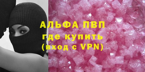 гашик Козловка
