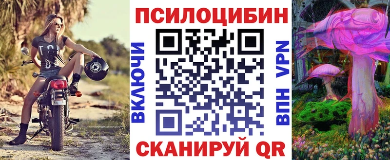 Купить закладки  Гурьевск  Псилоцибиновые грибы мицелий 